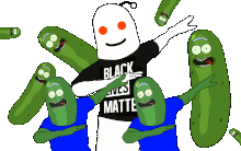 pickle rickers in the h.gif