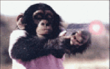 Moving-animated-picture-of-monkey-s.gif