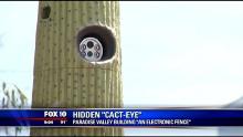 the-cact-eye-is-watching.jpg