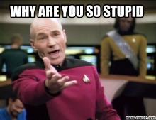 Stupid-Why are you so stupid.jpg
