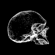 @Skull rotates gif.gif