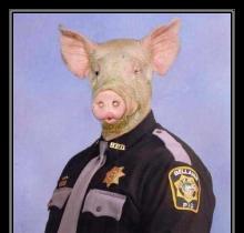 police_pig_.jpg