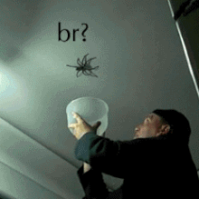 br spider.gif