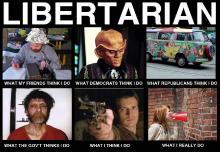 Libertarians-what-people-think-.jpg