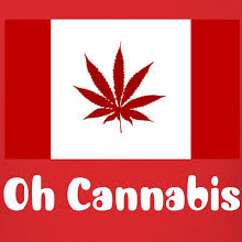 ohcannabis.png