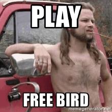 play-free-bird.jpg