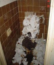 _DisgustingToiletEver.jpg