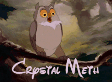 METH-OWL-GIPHY-ECOMANIAC.gif