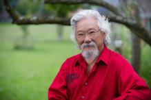 david_suzuki_-_national_observer.jpg