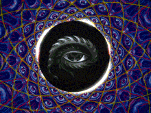 TRIPPY-TOOL-GIPHY-FOUND-BY-ECOMANIA.gif