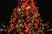 Christmas explosion of lights gif.gif
