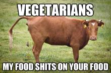 vegans kill babies.jpg