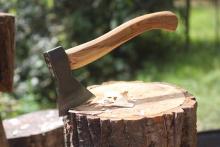 Axe on chopping stump.jpg Axe on chopping stump.jpg