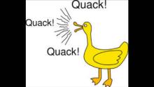 Quack Quack Quack image.jpg