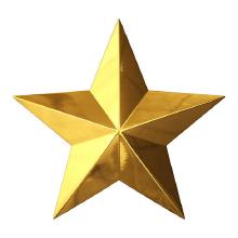 Gold Star  #2.jpg