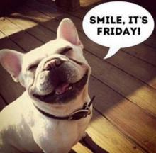 Friday dog-smile-its-friday.jpg