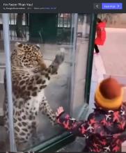 I am faster than you are screen sho.jpg