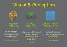 A Picture - Visual & Perception 90_.jpg