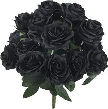 Black Roses-.jpg