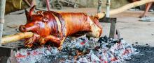 Pig rotisserie-pig.jpg