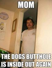 DOGBUTTHOLE.jpg