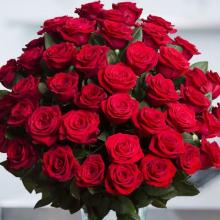red-roses-50-set-.jpg