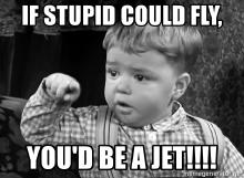 if-stupid-could-fly-youd-be-a-jet.jpg