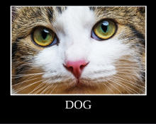 Screenshot 2021-02-04 at 8_08_31 AM.png