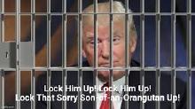 Trump Behind bars-1.jpg