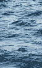 Ocean choppy 2.gif