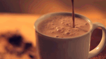 Cocoa gif.gif