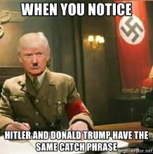Trump when-you-notice-hitler-and-do.jpg