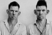 Hillbillies of Tenn-1.jpg