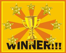 Winner gif.gif