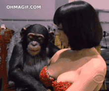 Girl and Chimp gif.gif