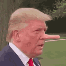 Trump nose grows.gif
