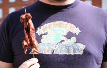 rats chinese on stick.jpg