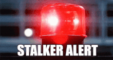 Stalker Alert 200.gif