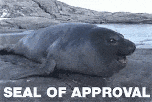 Approve seal of approval 200.gif