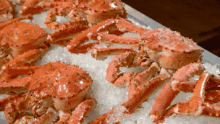 Dungeness Crabs 200.gif