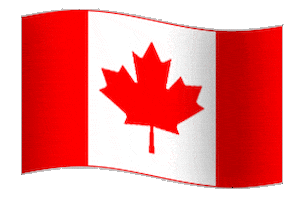 Canada flag 200.gif