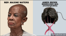 Maxine-Waters-James-Brown-Wig.png