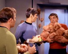 trouble-with-tribbles-09.jpg