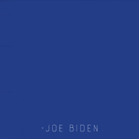 BIDEN DECENCY HONOR RESPECT 200.gif
