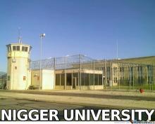 nigger-university_o_1126275.jpg