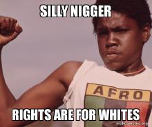 silly-nigger-rights-414edb6980.jpg