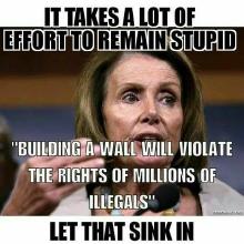 nancy-pelosi-meme-quote.jpg
