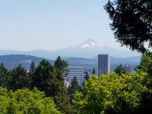 20210722_121634.jpg 20210722_121634.jpg