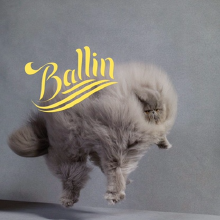 cat Ballin.png