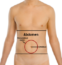 Abdomen-periumbilical_region.png